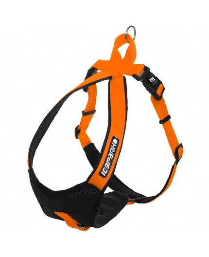 Harnais pour chien ICEPEAK Prozone Super