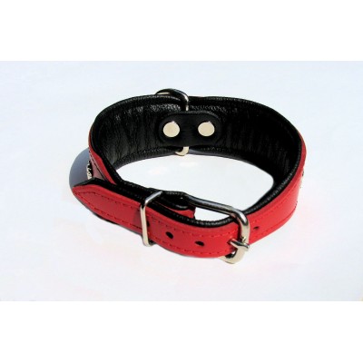 Collier en cuir rembourré SUPER pour chien