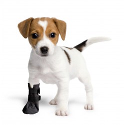 Chaussettes de Protection des blessures et Récupération pour Chien, Chat 100% Softshell, Respirante, Stop Léchage