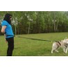 Ceinture ventrale Click&Run de promenade, jogging avec chien